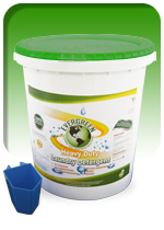 Evergreen Heavy Duty Laundry Detergent